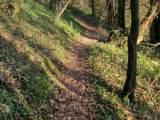 Fermeture des espaces naturels et sentiers littoraux de Brest métropole